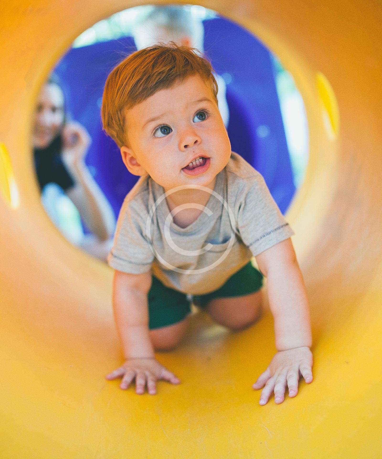 Web Sitesi Bakım Hizmeti